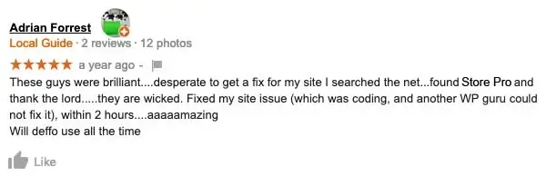 Store Pro Google Review
