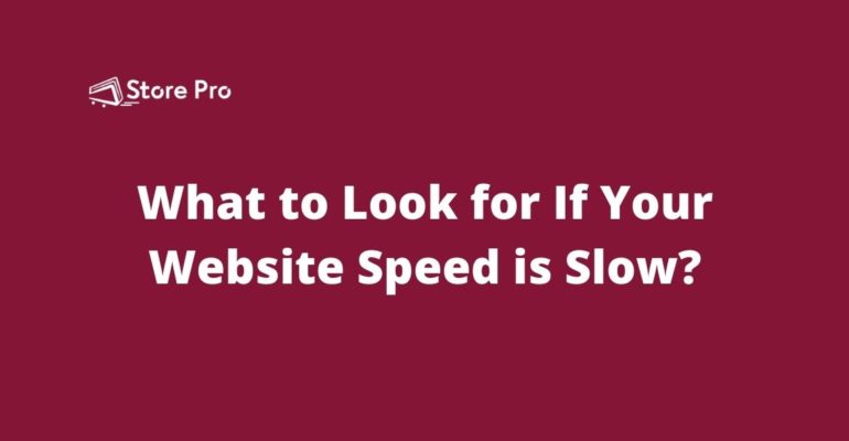 What to Look for If Your Website Speed is Slow?